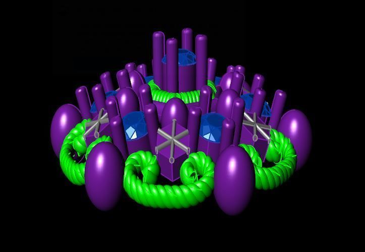 Indian Nose Pin 3D print model_8