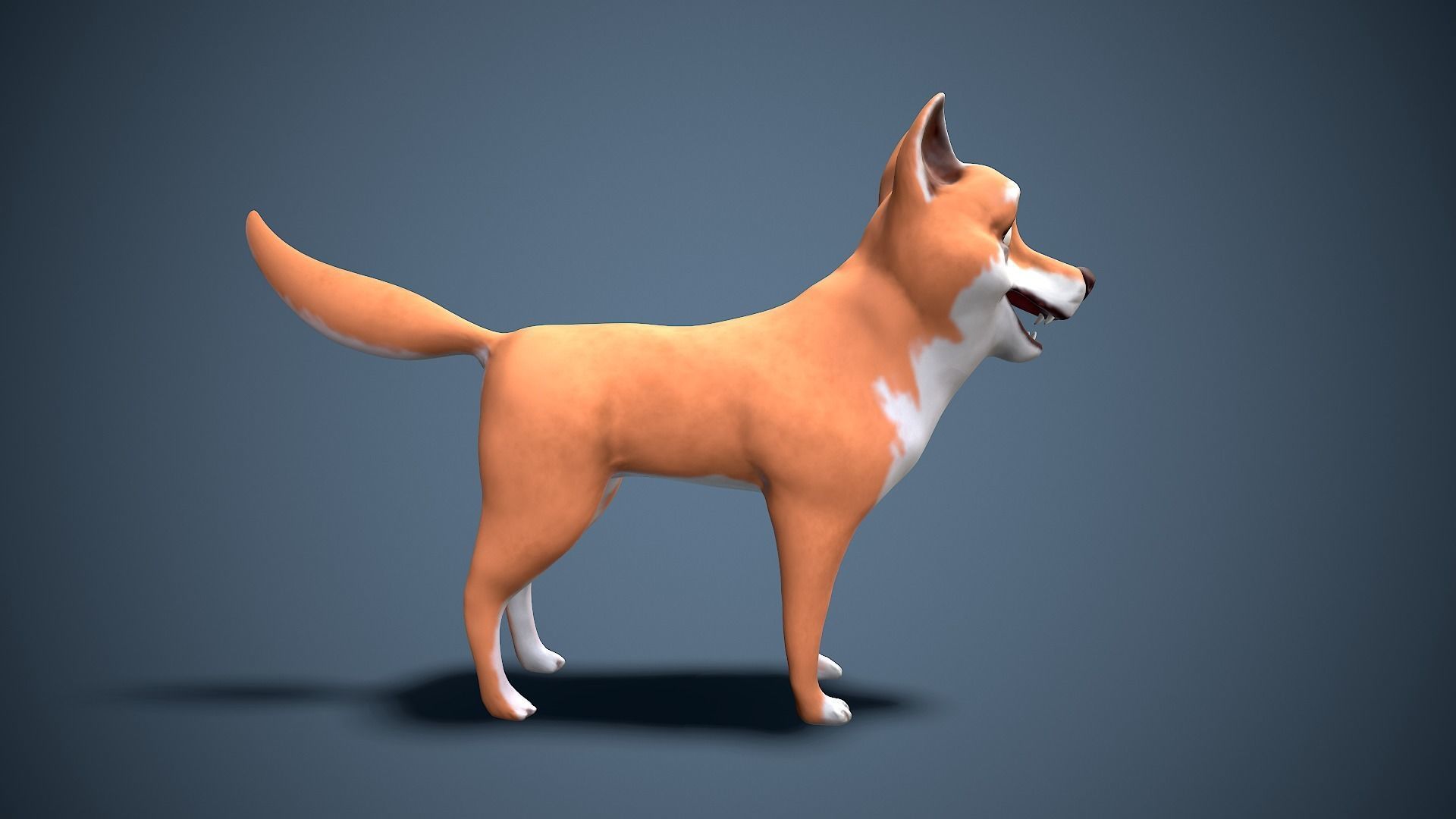 cartoon Akita Inu Low-poly 3D model_5