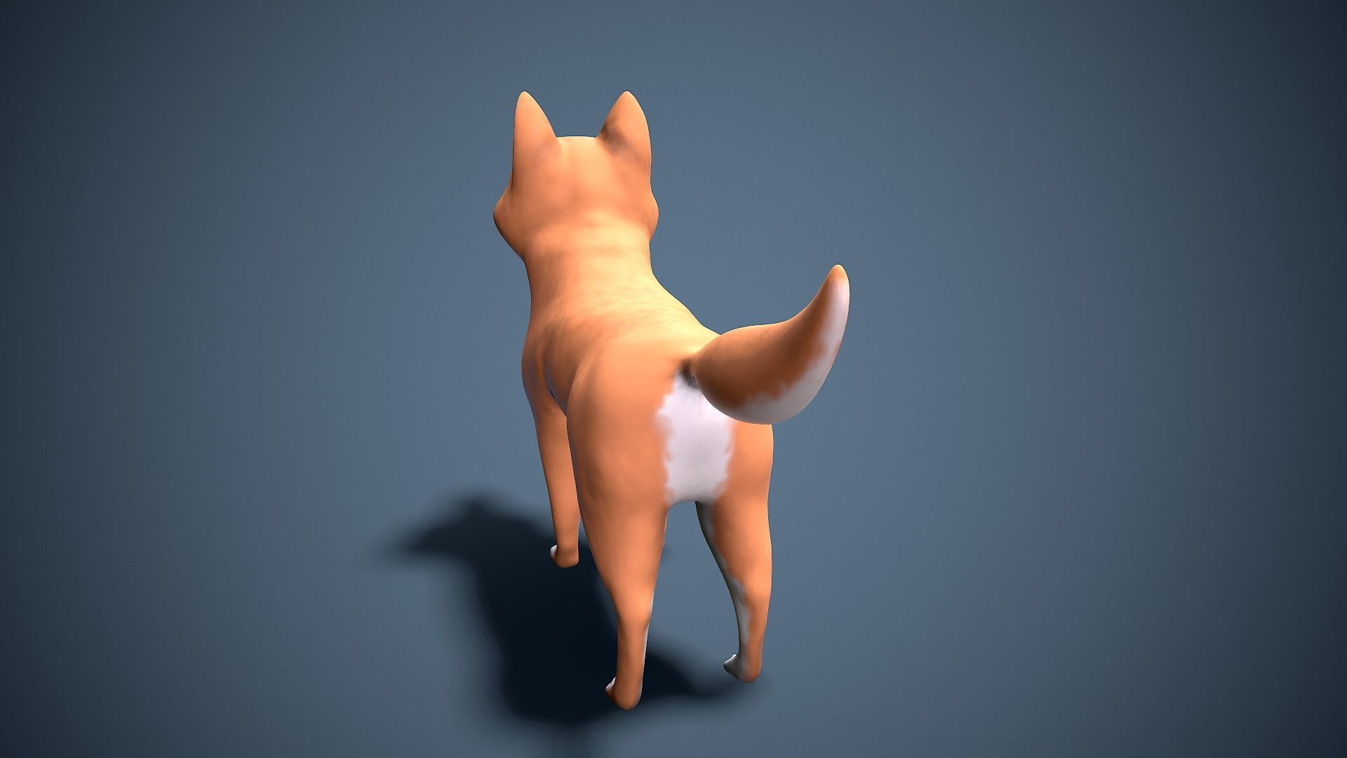 cartoon Akita Inu Low-poly 3D model_7