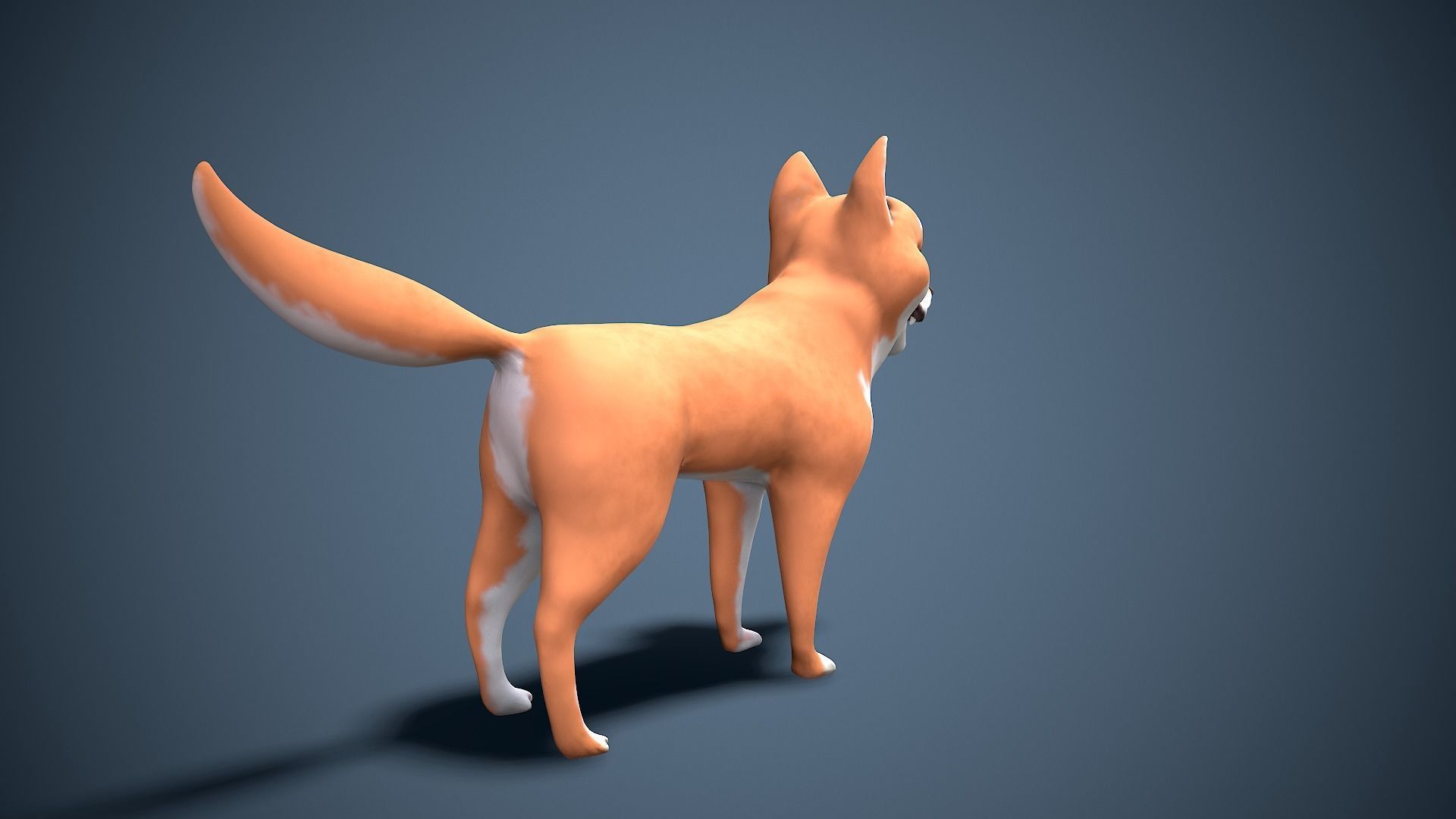 cartoon Akita Inu Low-poly 3D model_6