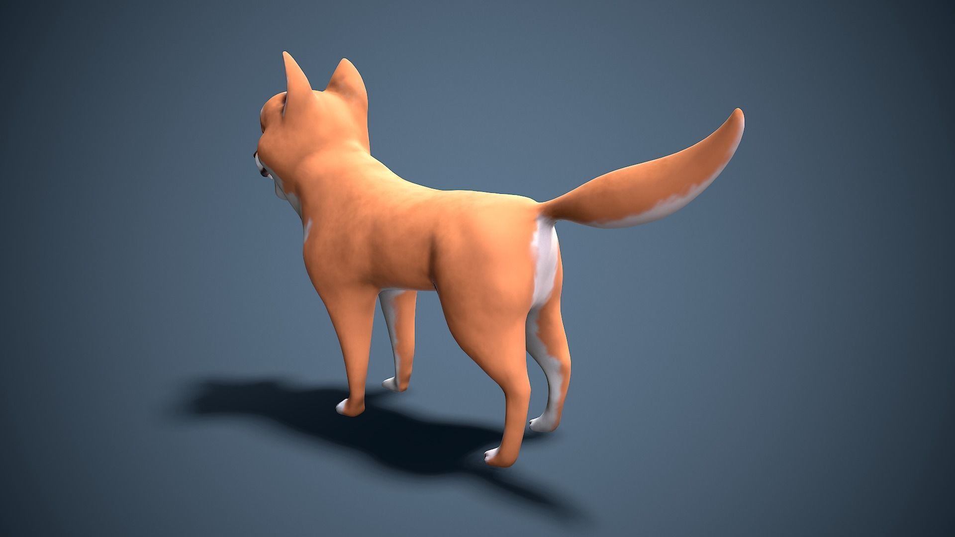 cartoon Akita Inu Low-poly 3D model_8