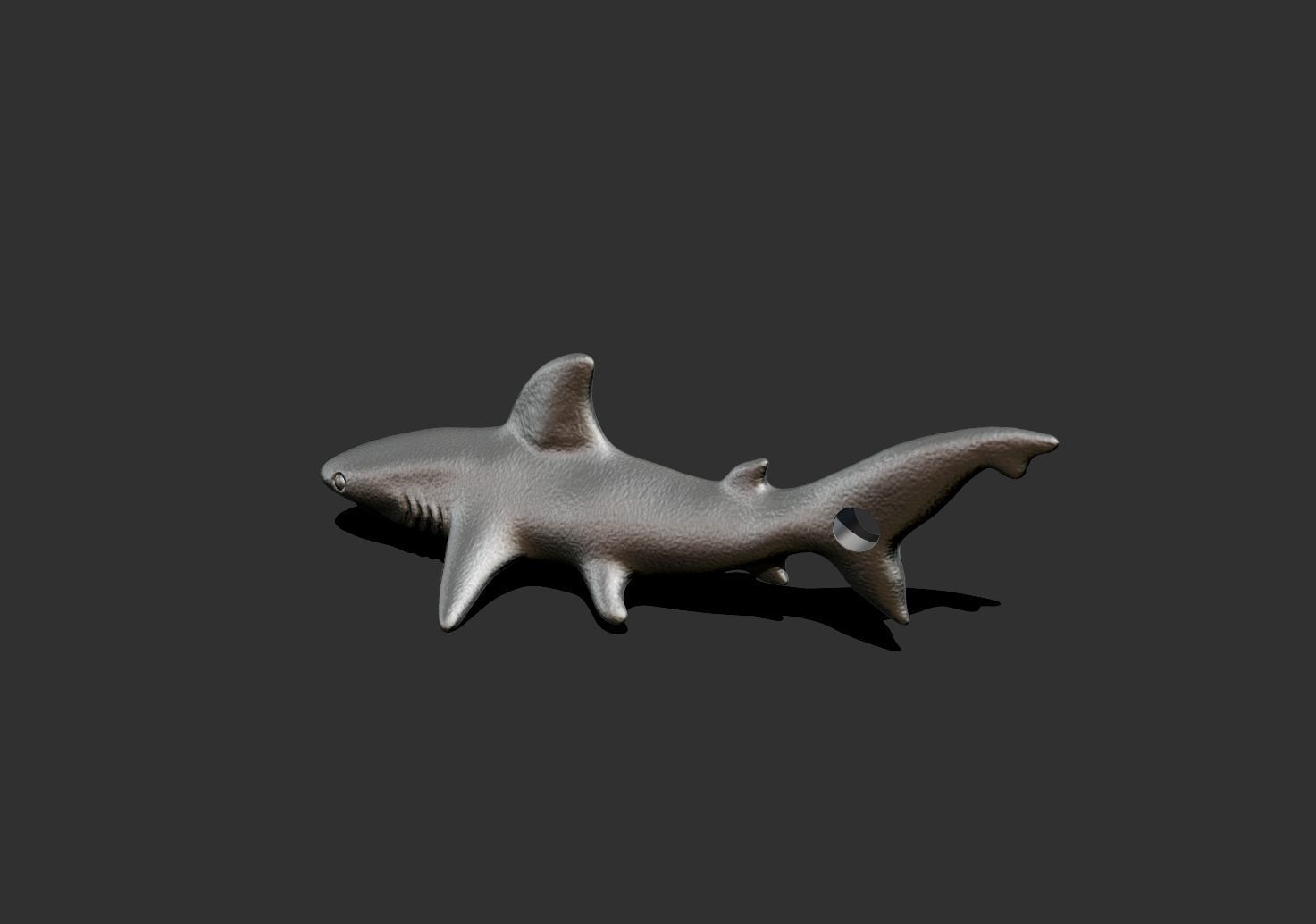 shark1 shark 3D print model_4