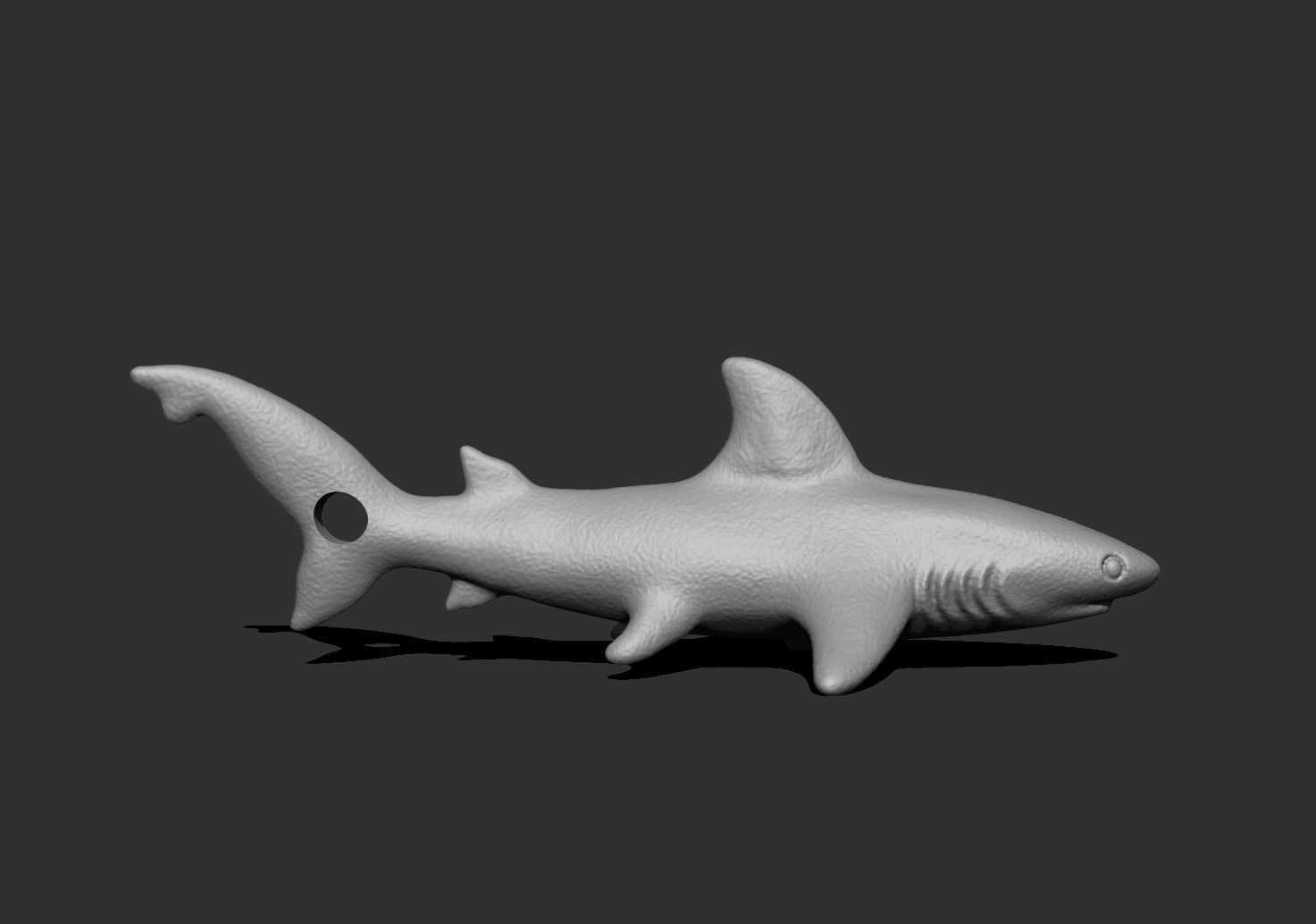 shark1 shark 3D print model_3