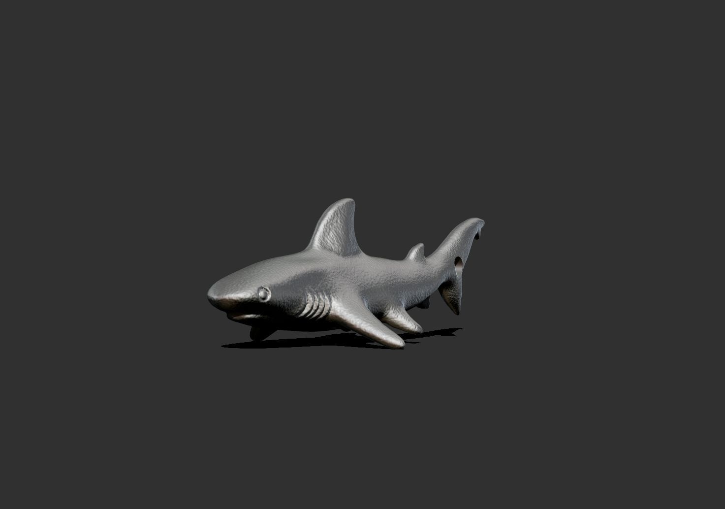 shark1 shark 3D print model_5