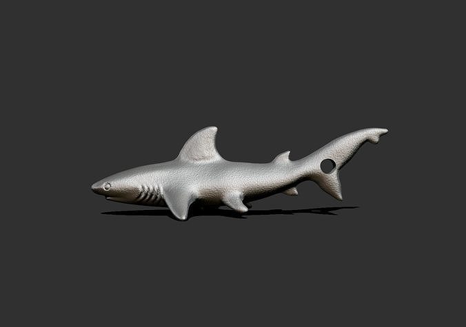 shark1 shark 3D print model