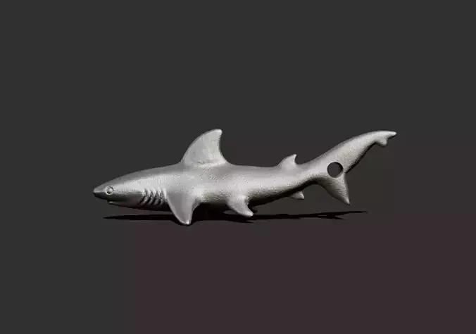 shark1 shark
