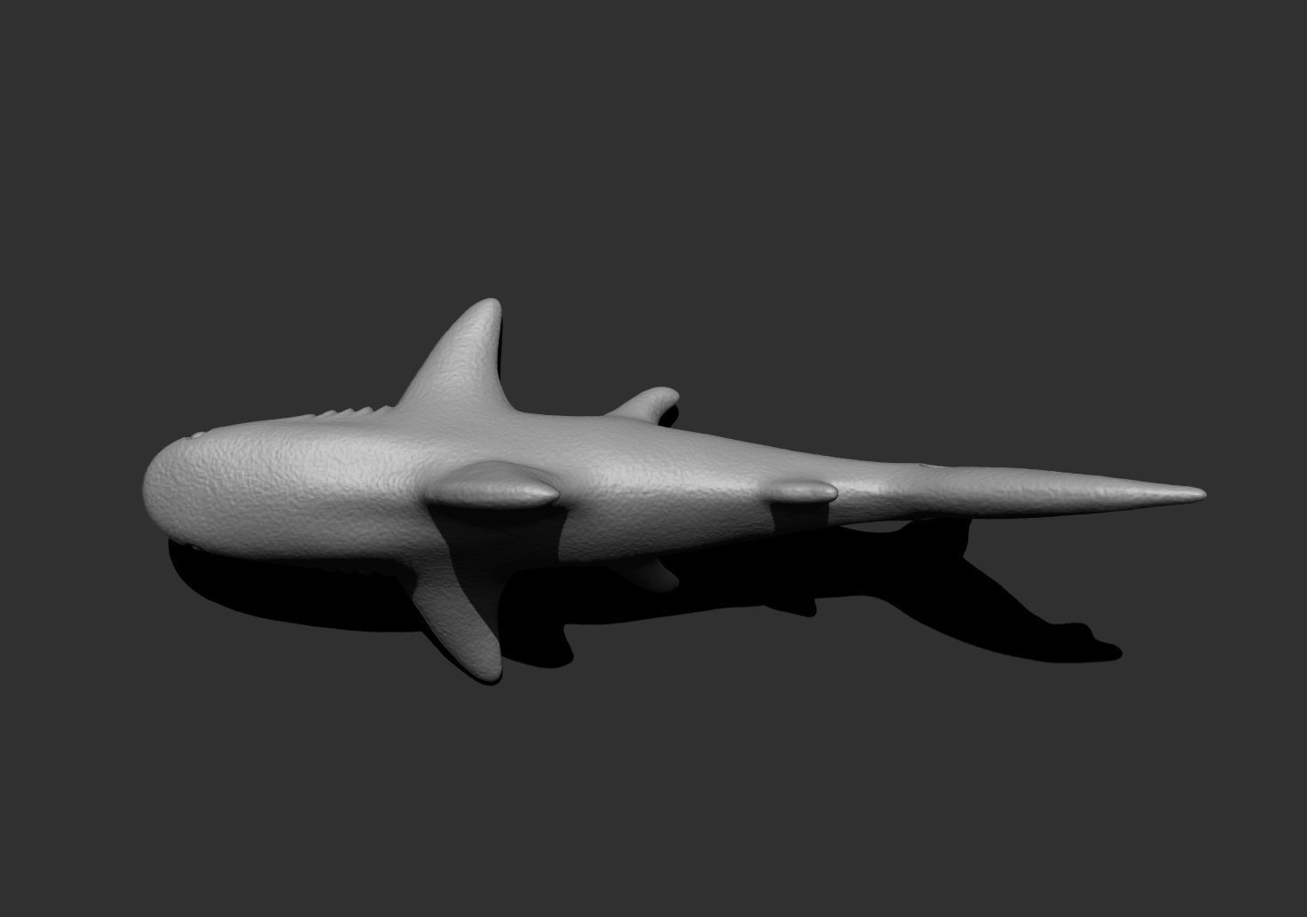 shark1 shark 3D print model_2