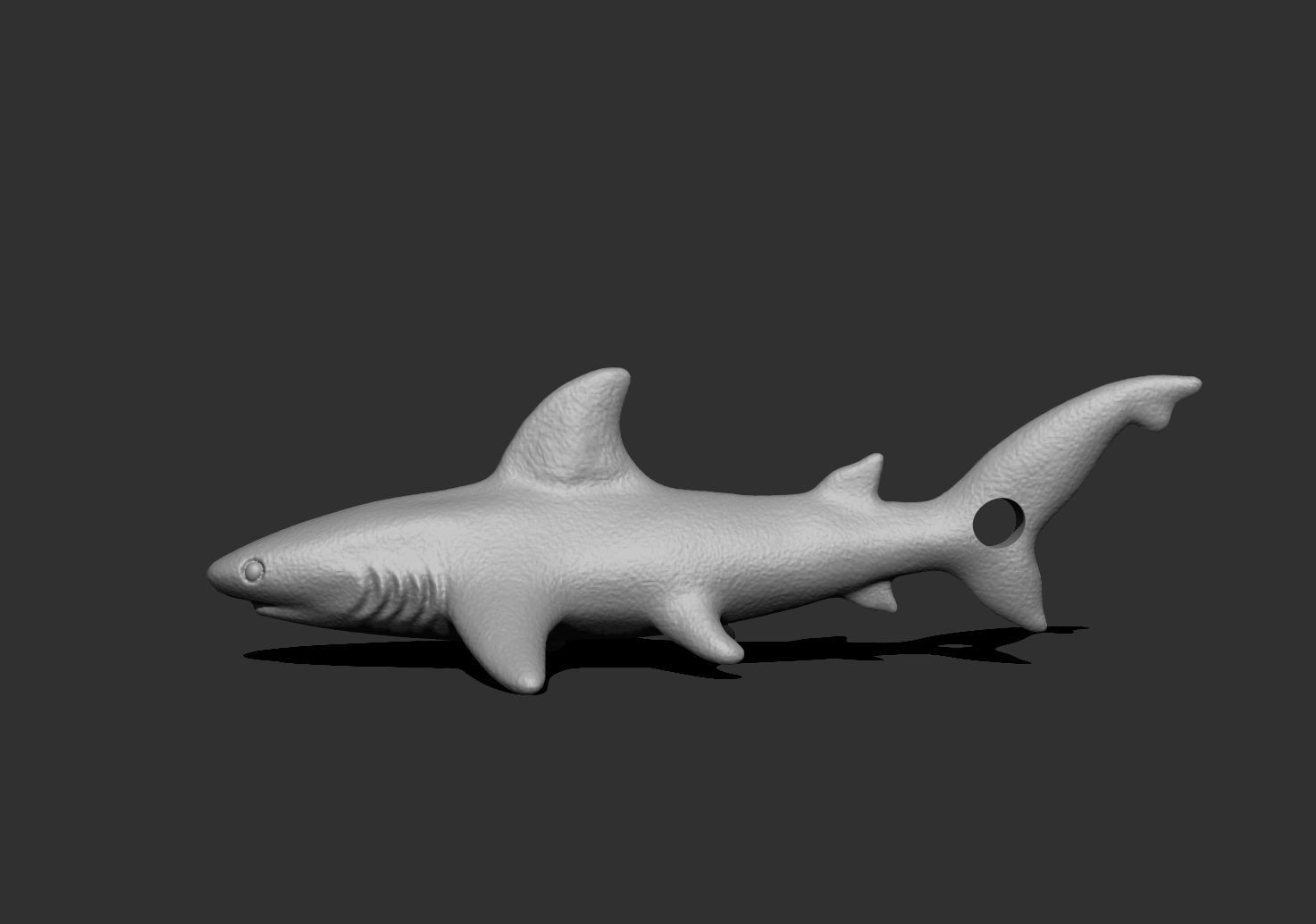 shark1 shark 3D print model_1