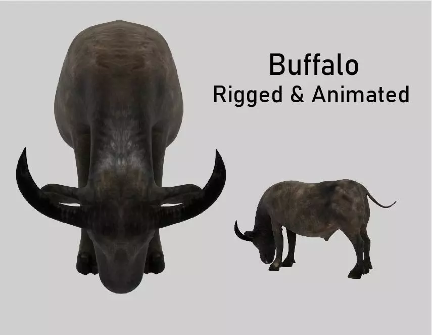 Buffalo Animated VFX Grace Low-poly 3D model