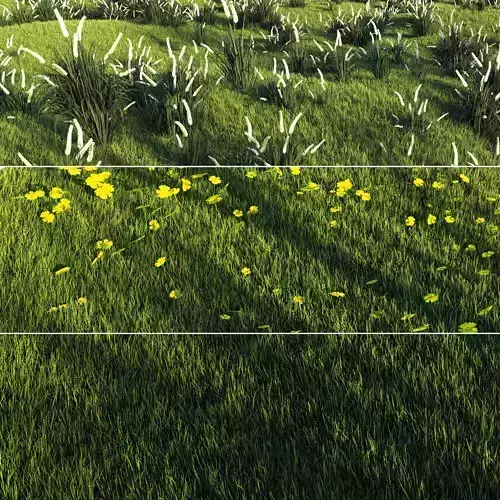 Forest Grass  101 3D model