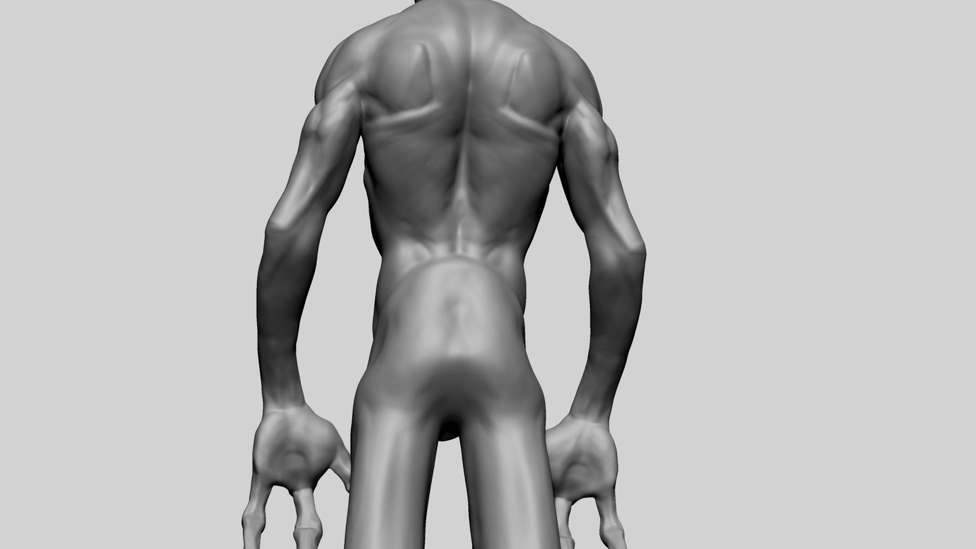 Creature Body Anatomy 3D model_7