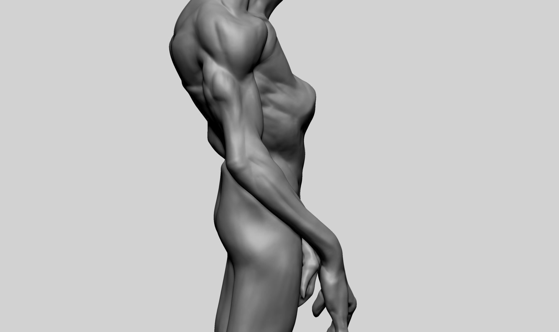 Creature Body Anatomy 3D model_5