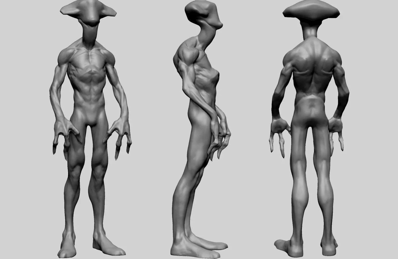 Creature Body Anatomy 3D model_0