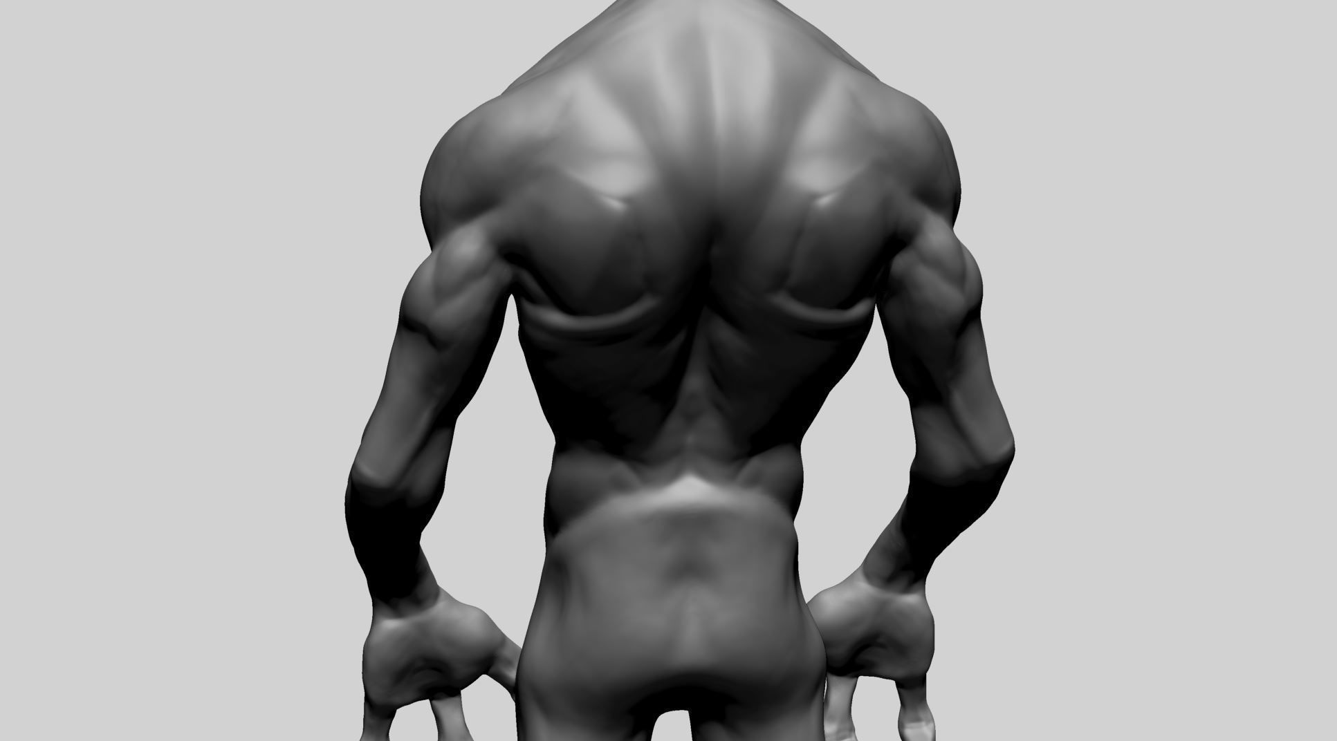 Creature Body Anatomy 3D model_6