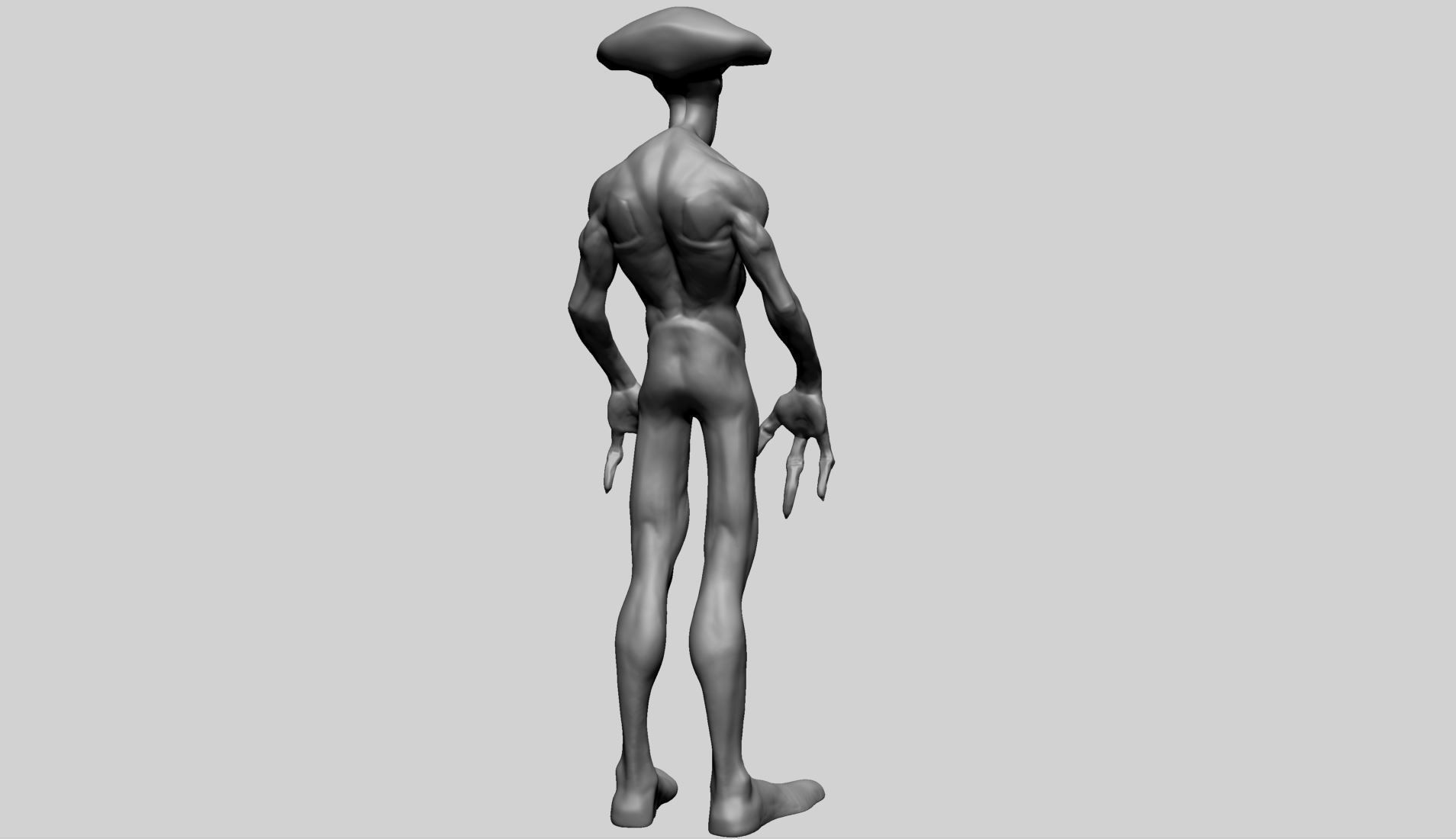 Creature Body Anatomy 3D model_11