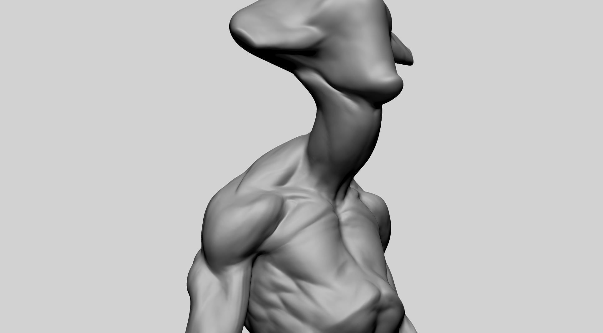 Creature Body Anatomy 3D model_16