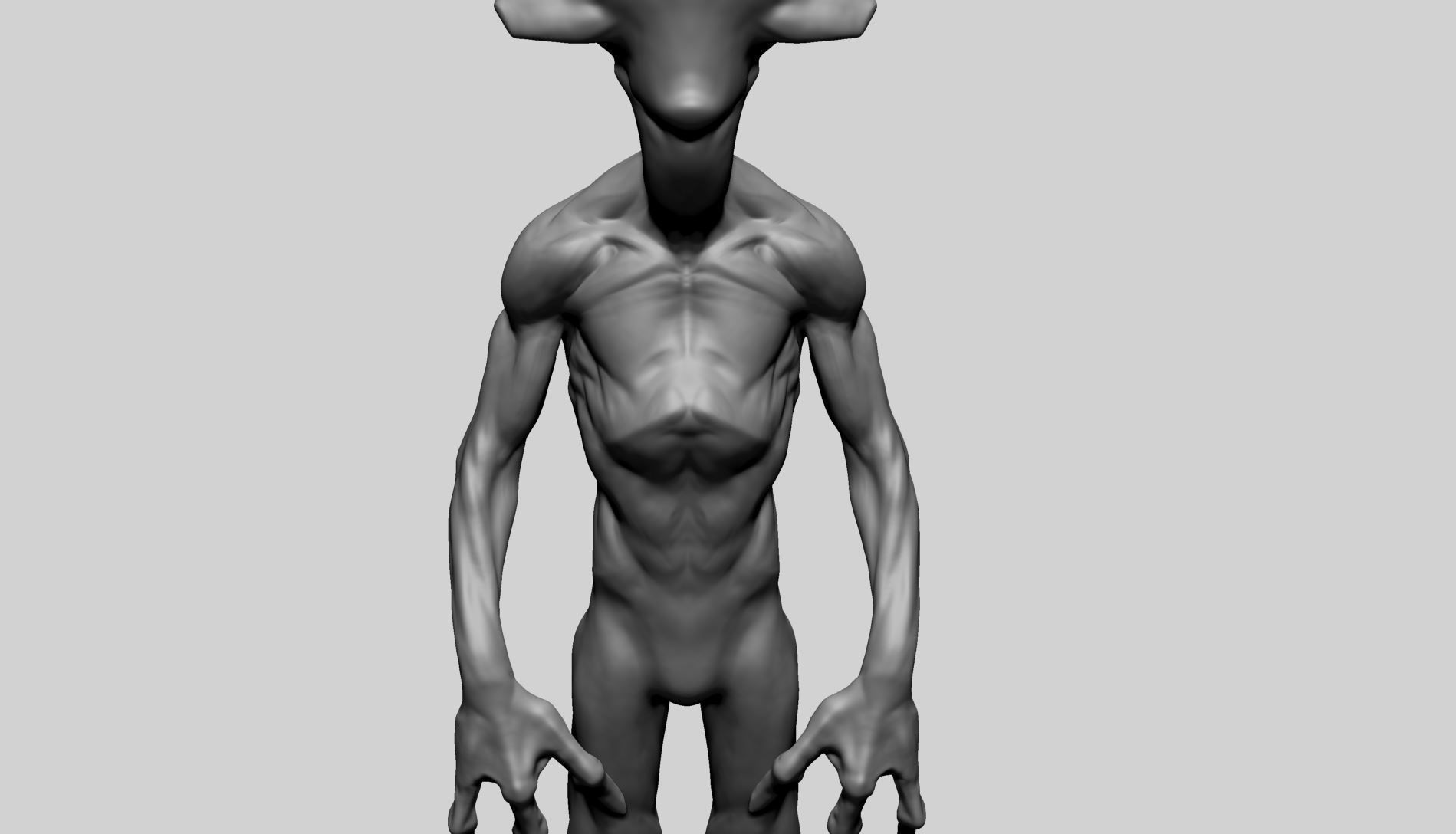 Creature Body Anatomy 3D model_12