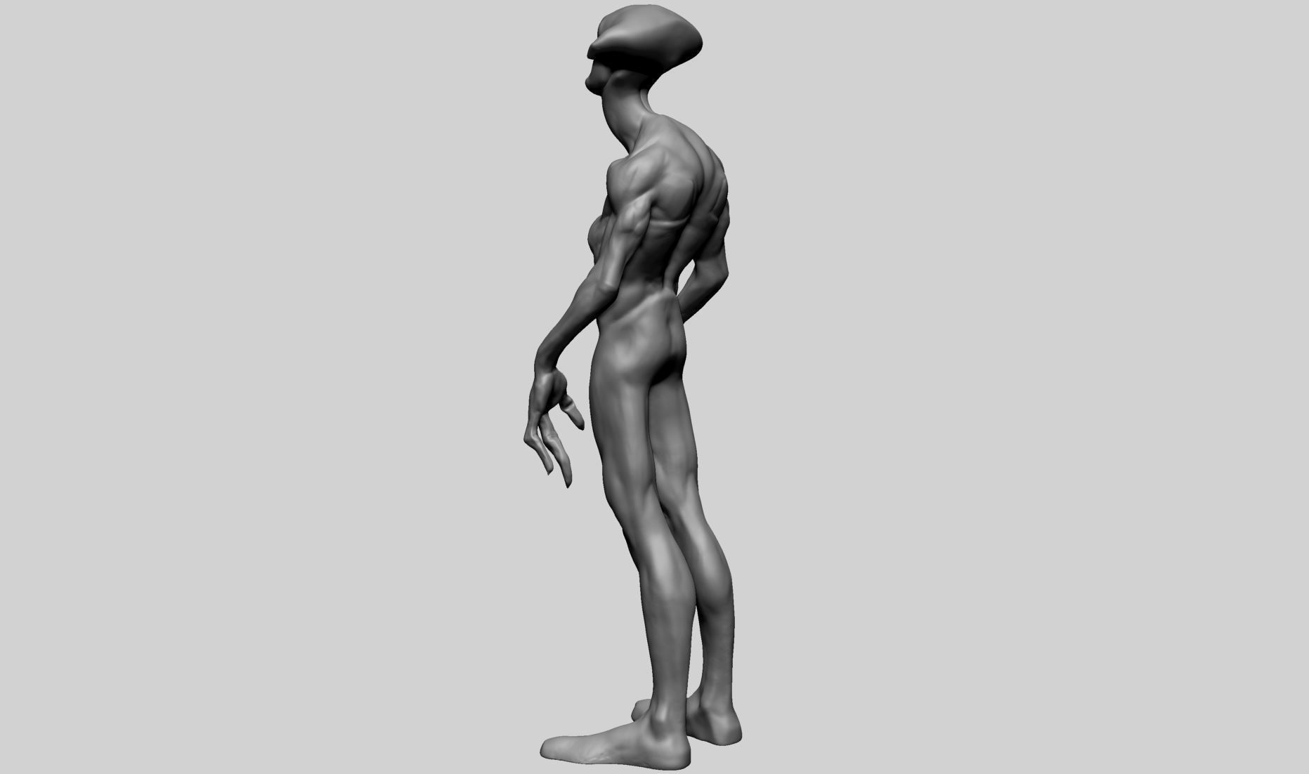 Creature Body Anatomy 3D model_10