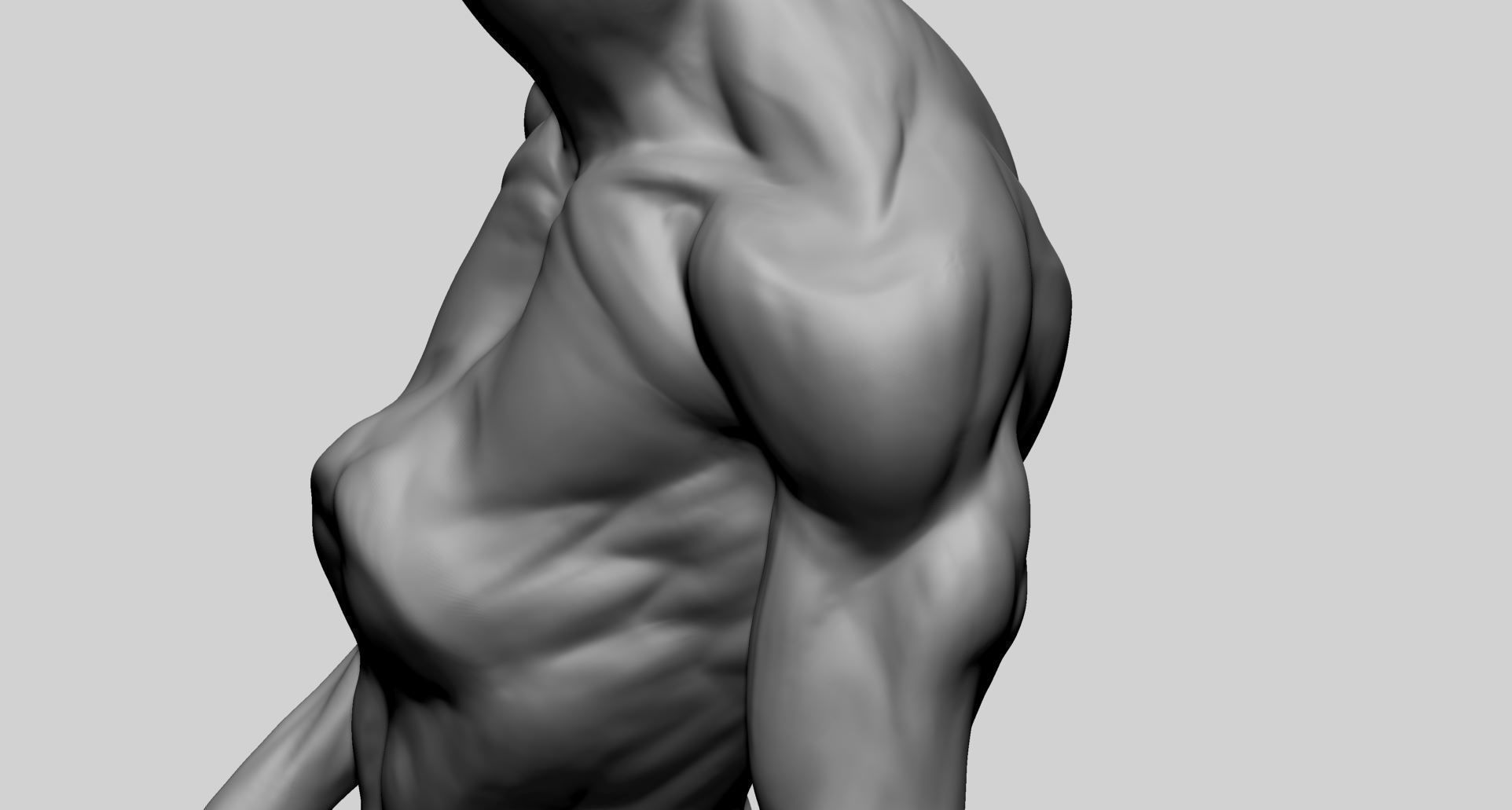 Creature Body Anatomy 3D model_17