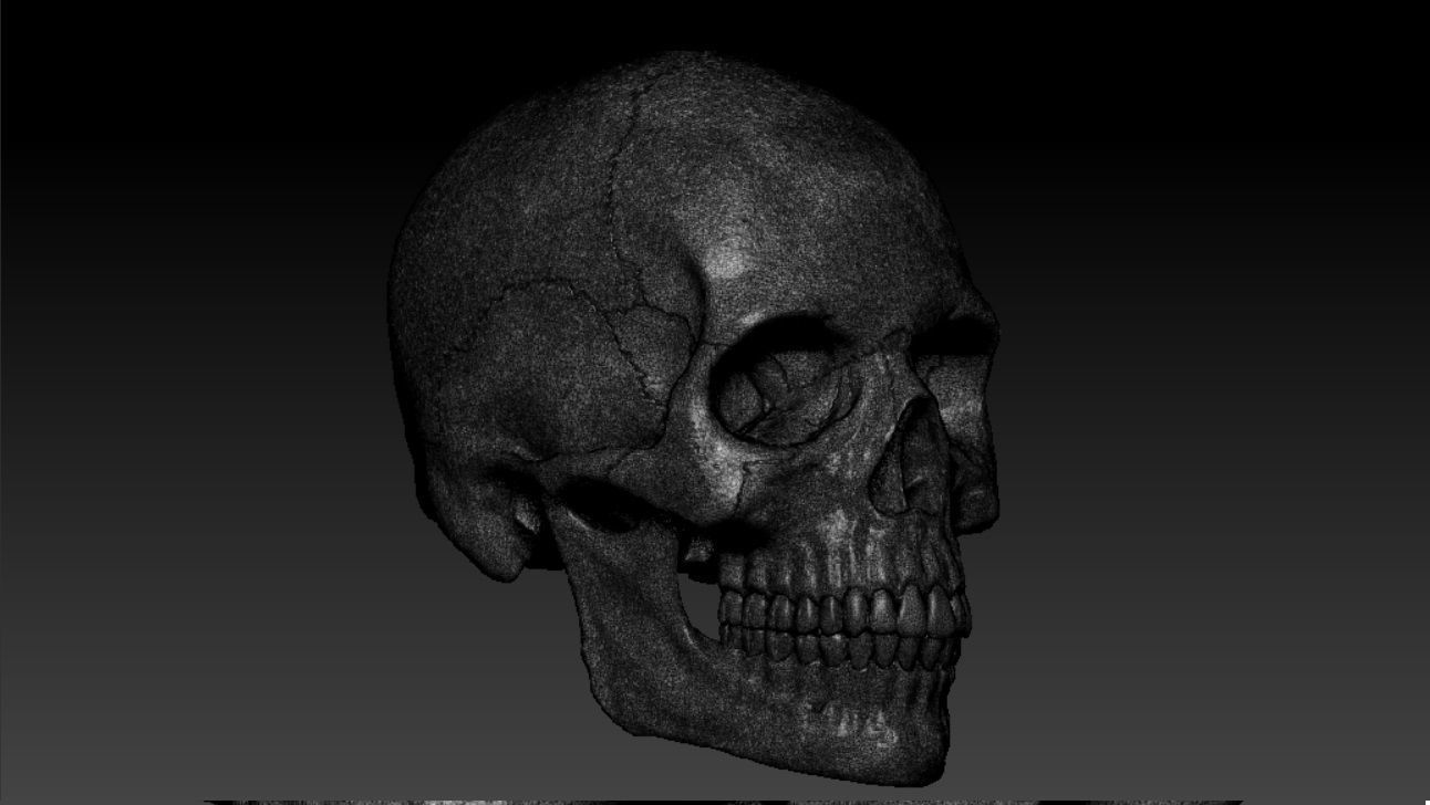 Human skull sculpt 3D model high poly 3D model_6