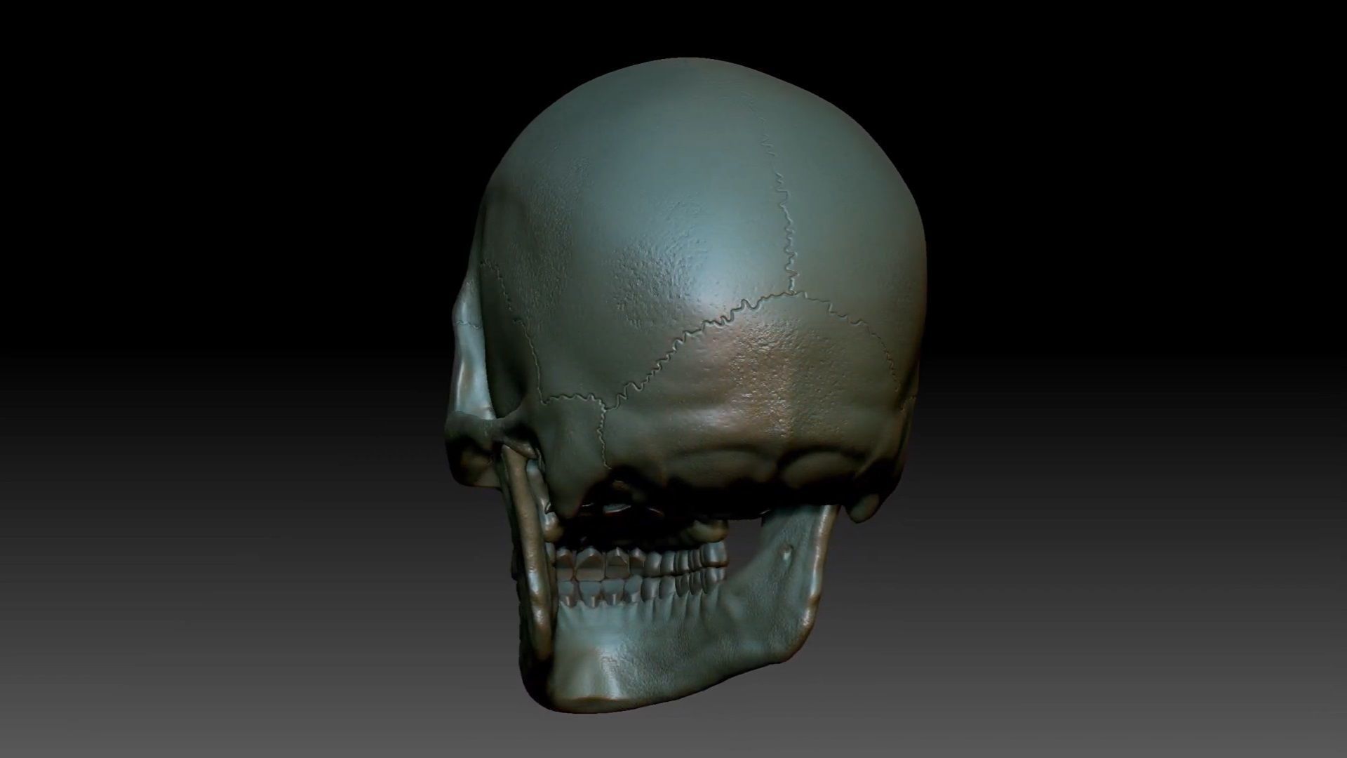 Human skull sculpt 3D model high poly 3D model_9