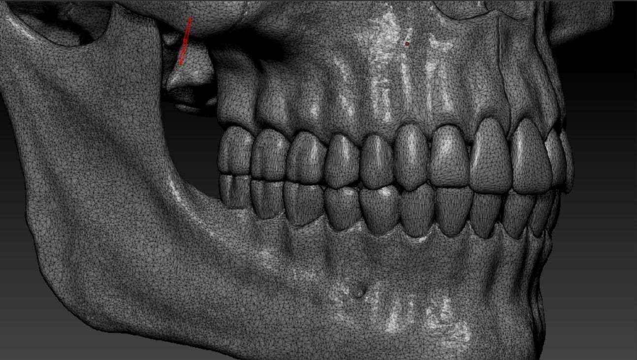 Human skull sculpt 3D model high poly 3D model_5