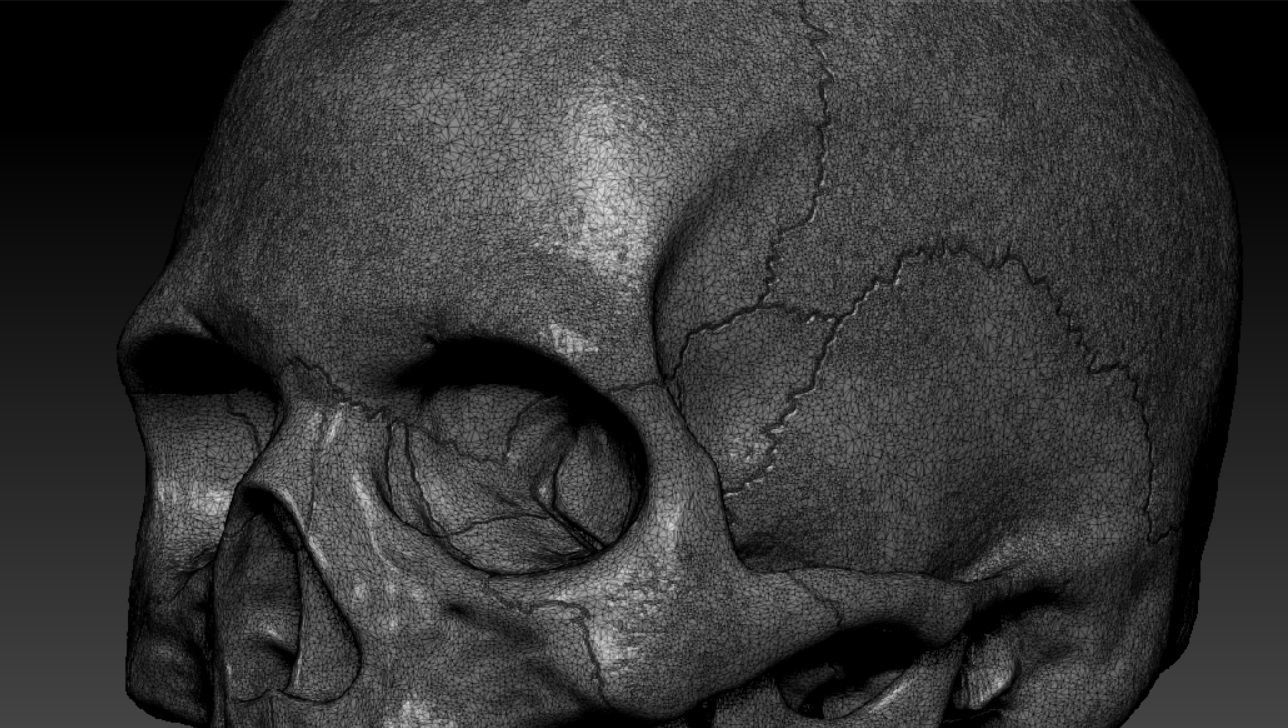 Human skull sculpt 3D model high poly 3D model_4