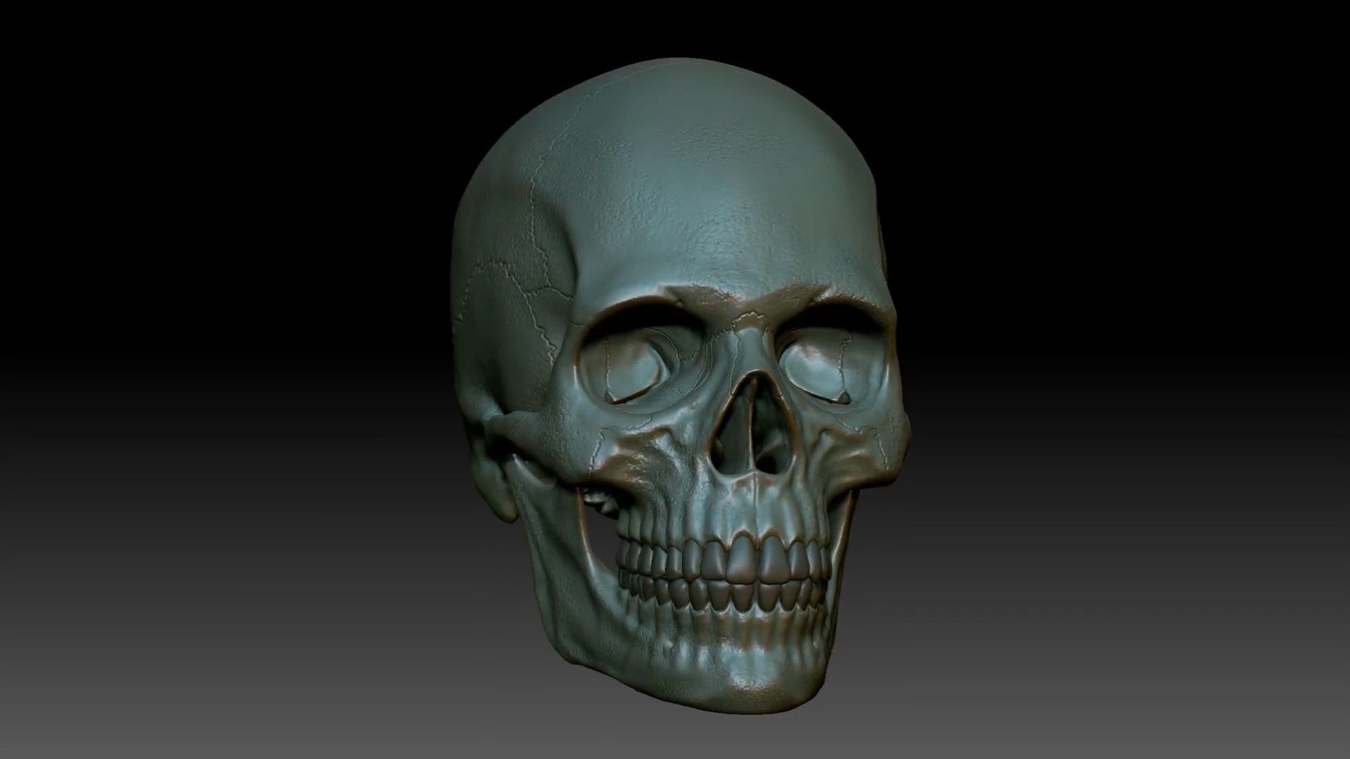 Human skull sculpt 3D model high poly 3D model_7