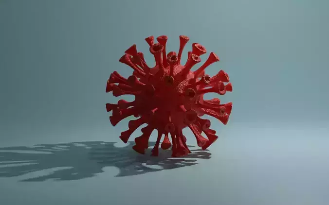 Virus coronavirus