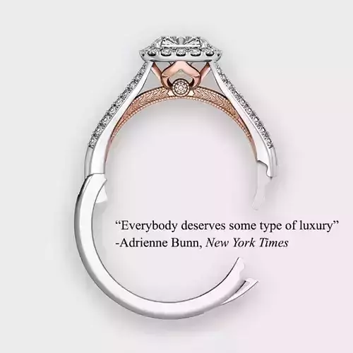 STL File Ring Resizing 3D model