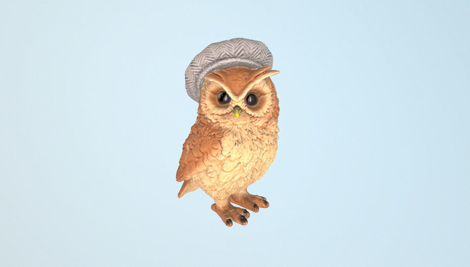 CapOwl 01 3D model_10