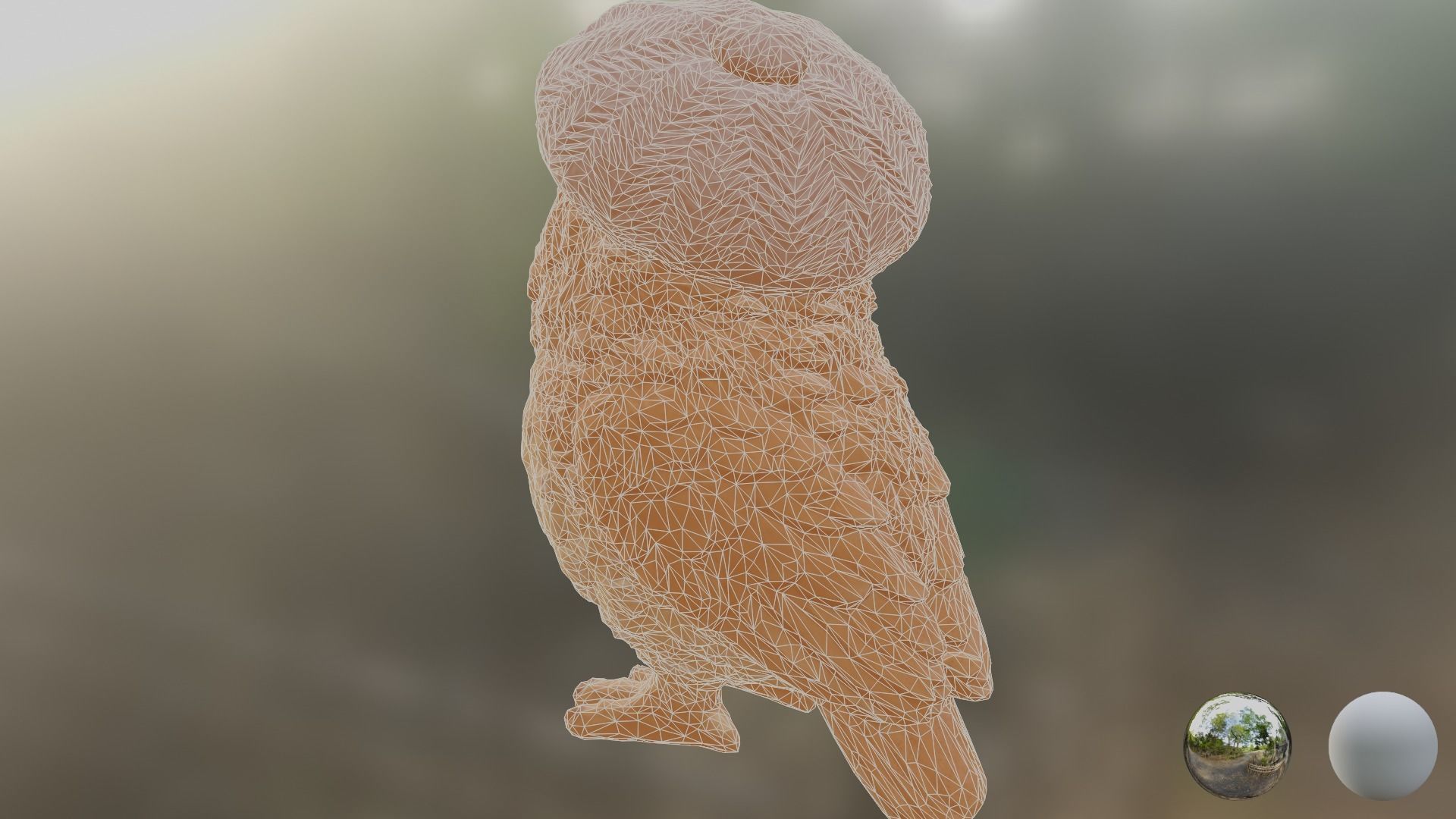 CapOwl 01 3D model_9