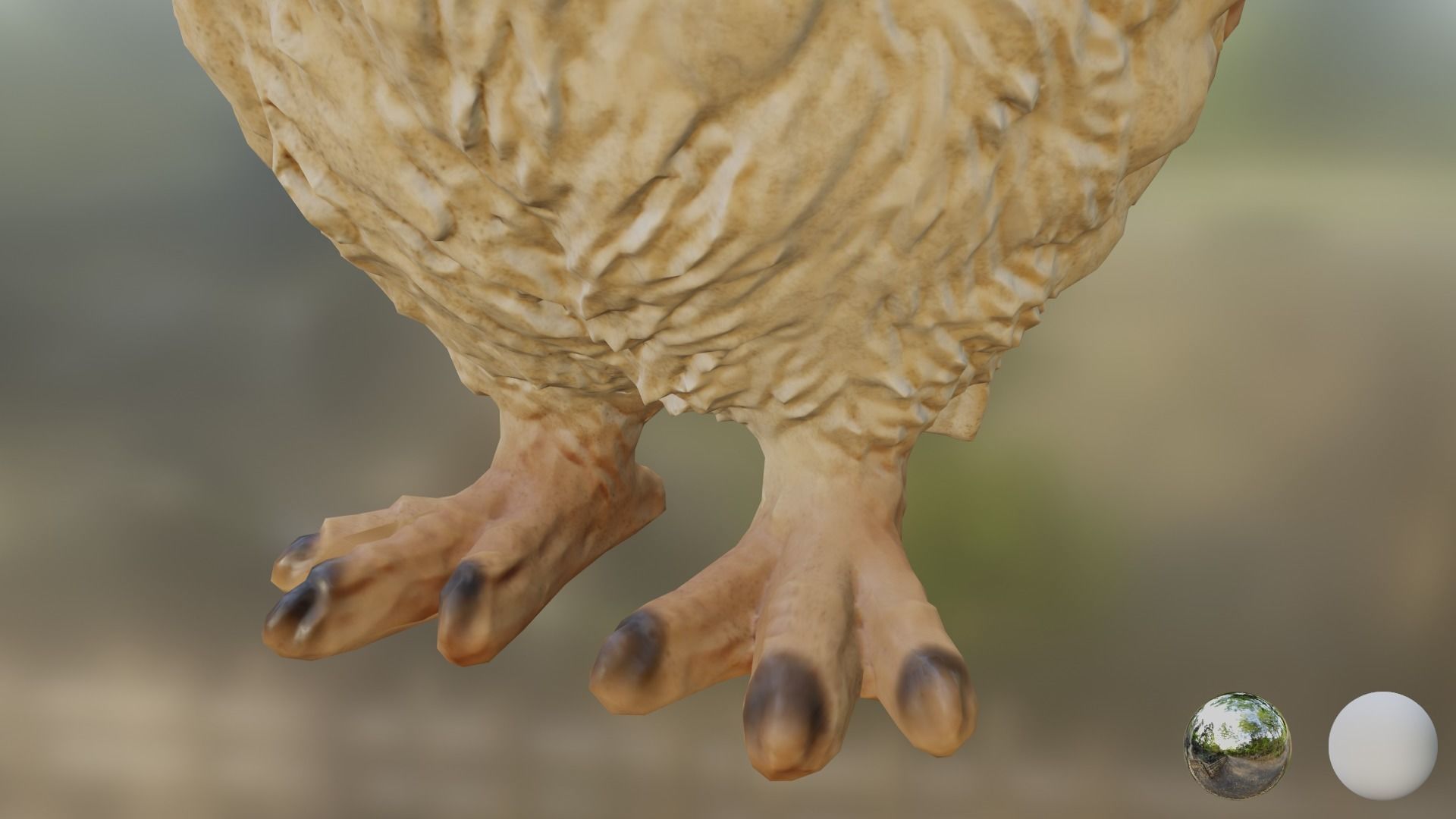 CapOwl 01 3D model_7