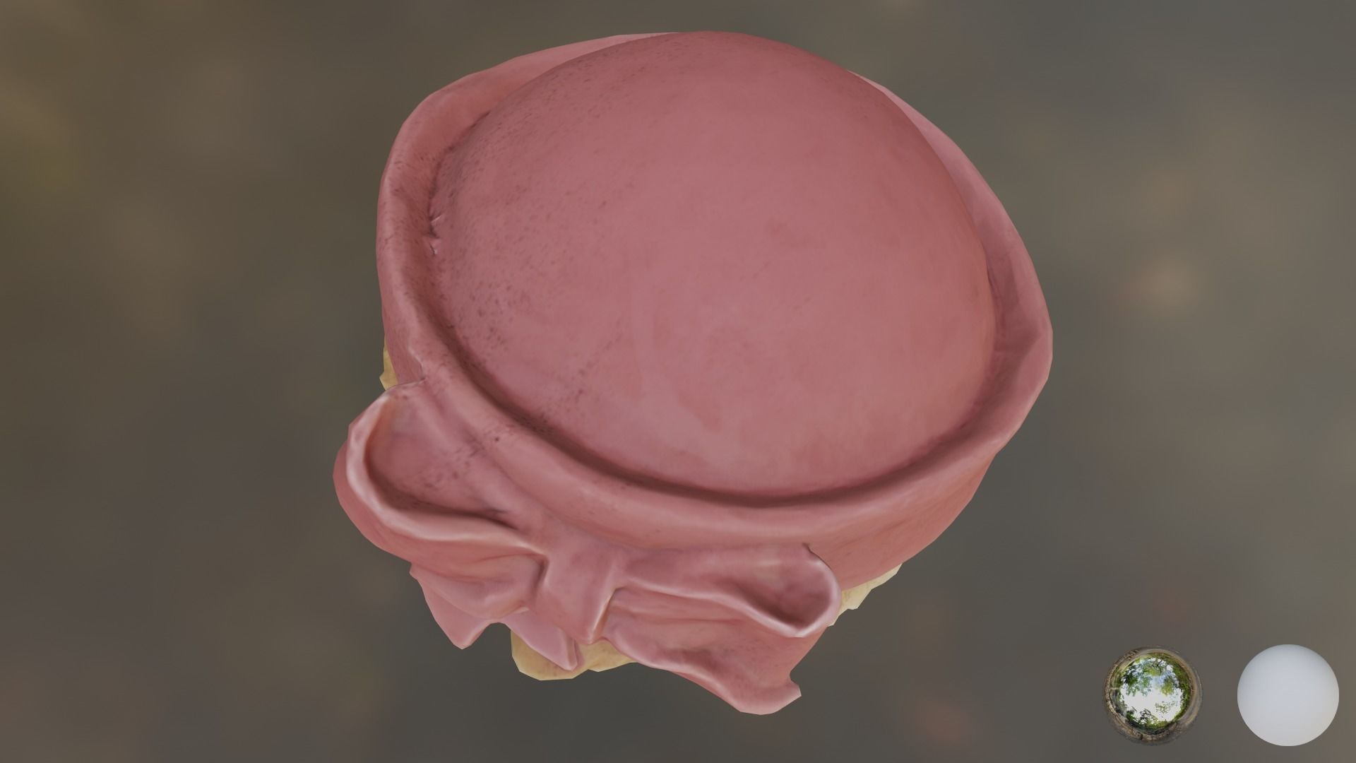 CapOwl 02 3D model_3