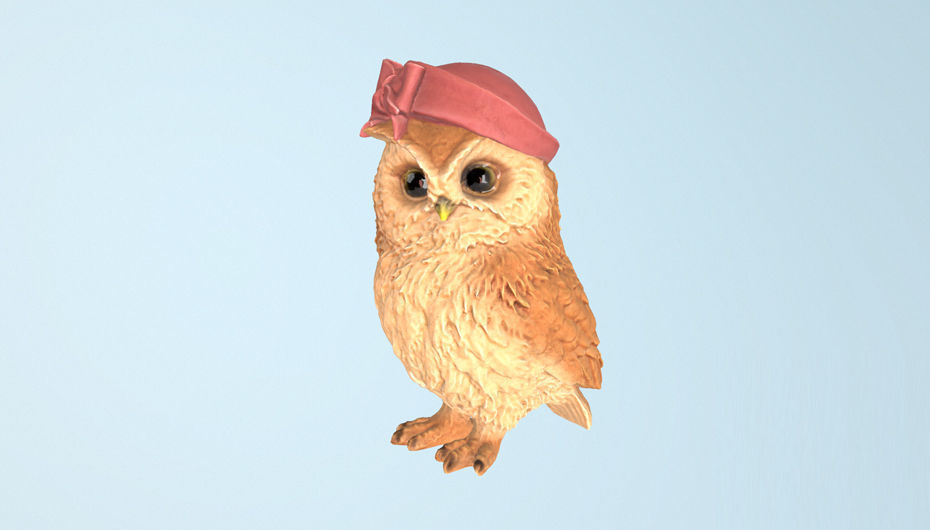 CapOwl 02 3D model_9