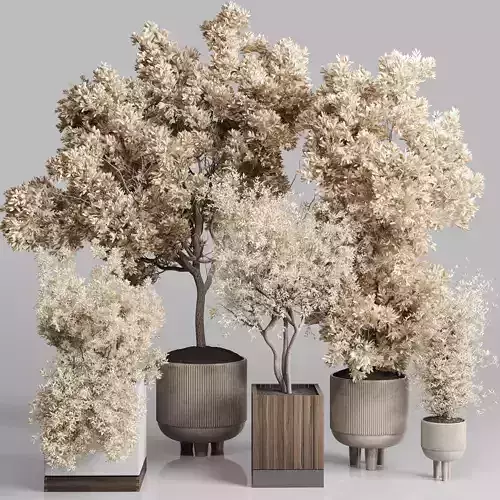 Indoor plant autumn set 333 concrete vase plant tree bush pot  Low-poly 3D model