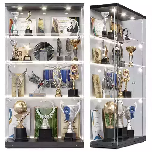 Award cabinet 4