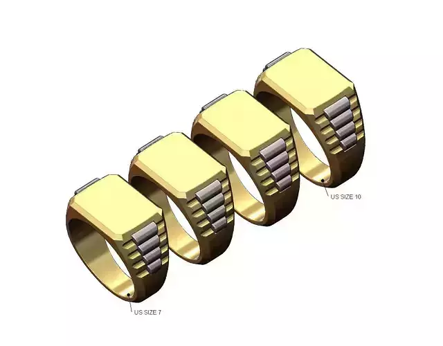 Rectangular presidential link inserts signet US sizes 7to10 3D print model
