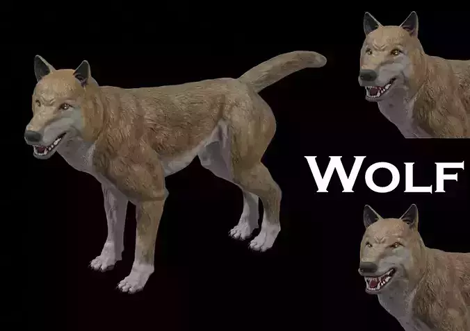 Wolf Game Model