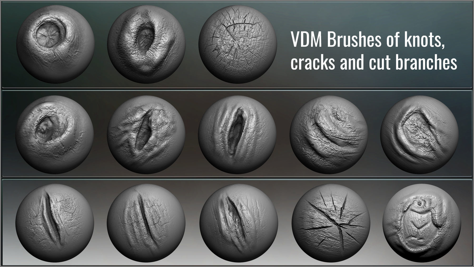 Tree Maker 117 ZBrush Brushes 50 Alphas and 8 Tree Basemeshes 3D model_5