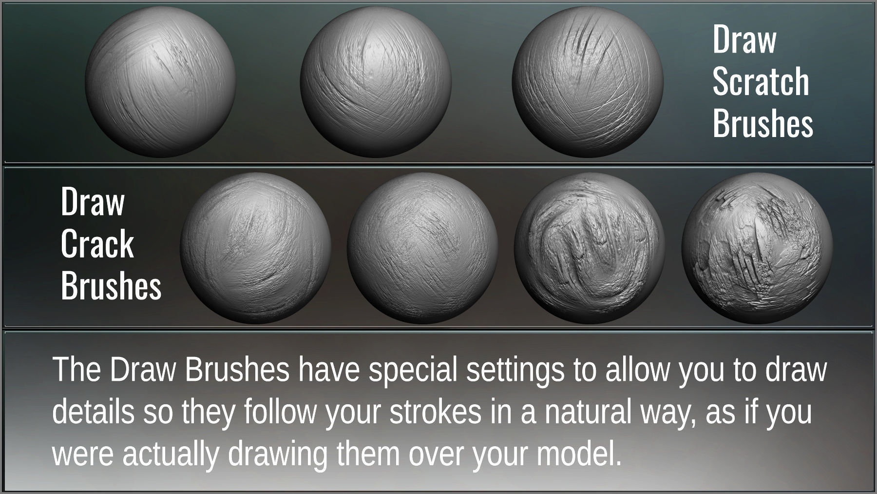 Tree Maker 117 ZBrush Brushes 50 Alphas and 8 Tree Basemeshes 3D model_10