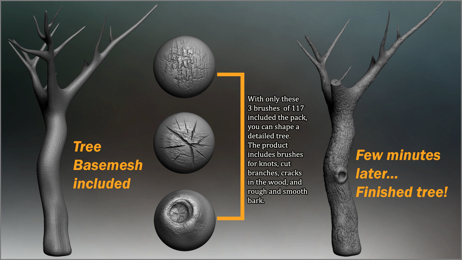 Tree Maker 117 ZBrush Brushes 50 Alphas and 8 Tree Basemeshes 3D model_2
