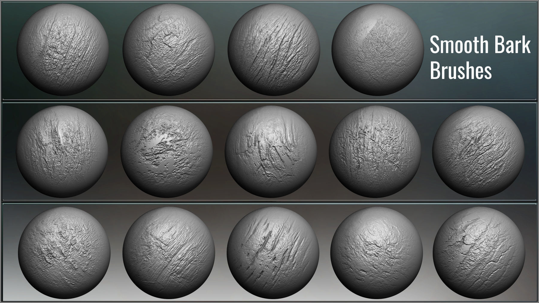 Tree Maker 117 ZBrush Brushes 50 Alphas and 8 Tree Basemeshes 3D model_7