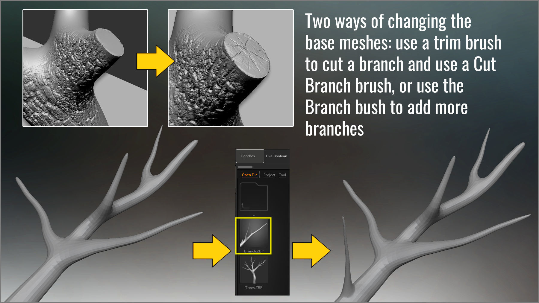 Tree Maker 117 ZBrush Brushes 50 Alphas and 8 Tree Basemeshes 3D model_4