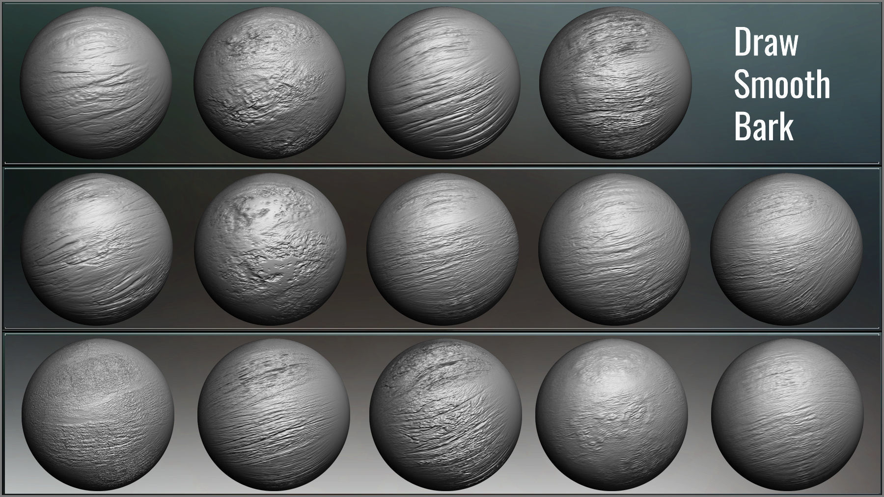 Tree Maker 117 ZBrush Brushes 50 Alphas and 8 Tree Basemeshes 3D model_11