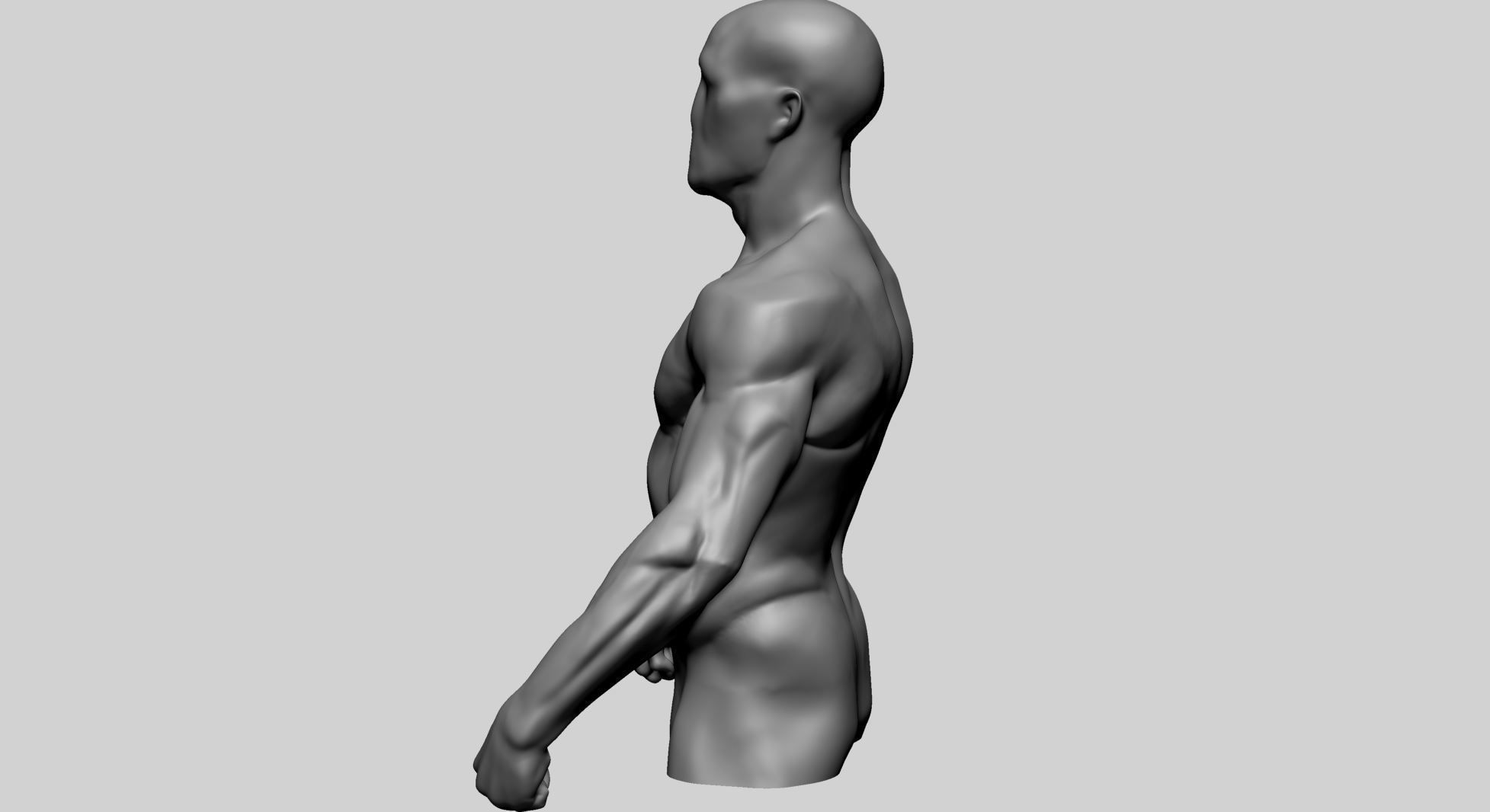 Male Torso Printable A 3D print model_4