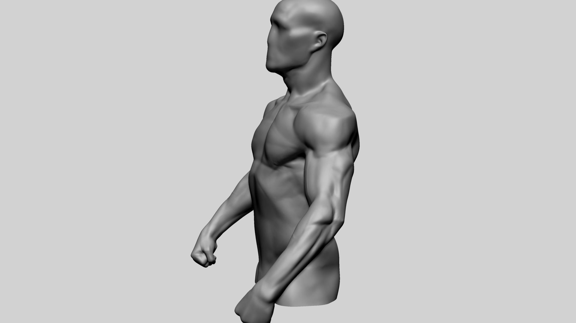 Male Torso Printable A 3D print model_5