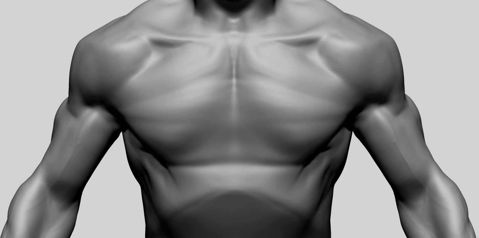Male Torso Printable A 3D print model_9