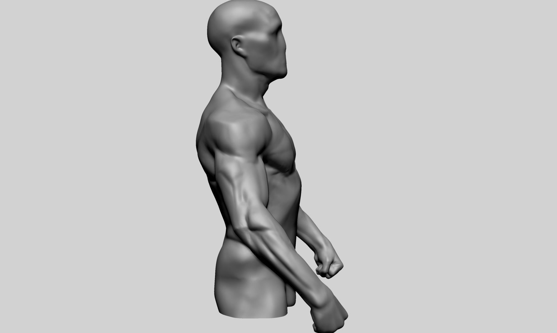 Male Torso Printable A 3D print model_1