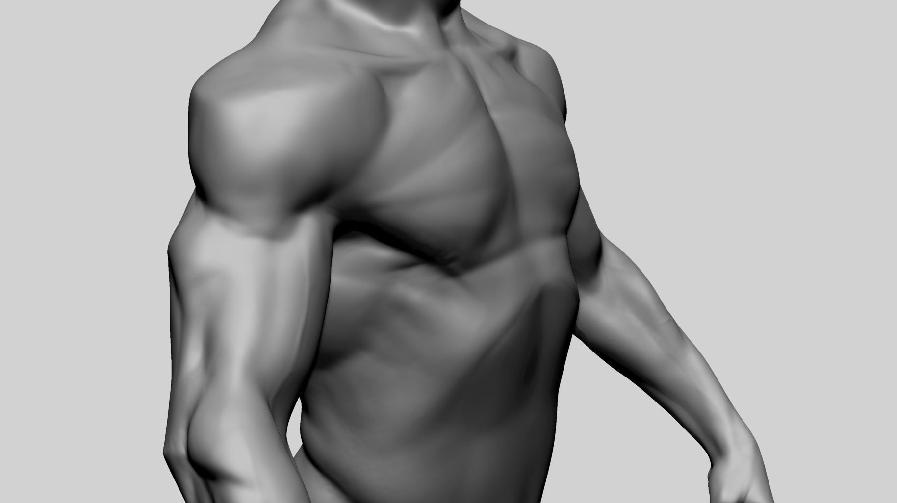 Male Torso Printable A 3D print model_7